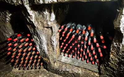 Wycieczka Szlakiem Cypryjskich Winnic - Sterna Winiarnia